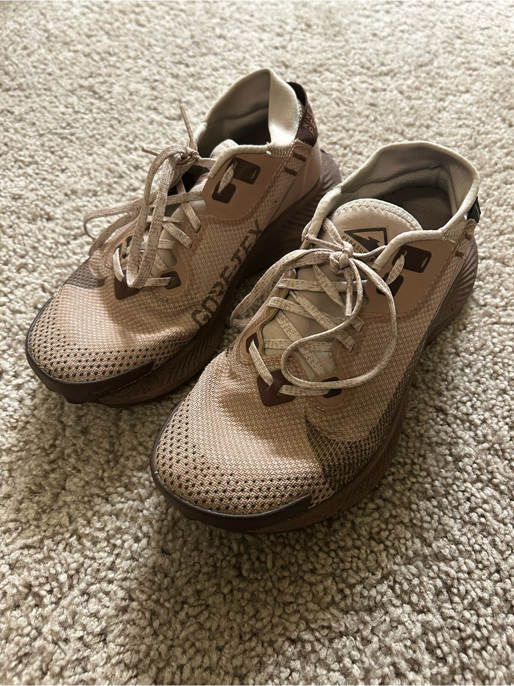 Nike Pegasus Trail 2 Gore-Tex Shoes Desert Dust Mauve Women’s Size 7.5